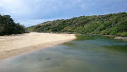 Zdjęcie Boambee Beach położony w naturalnym obszarze