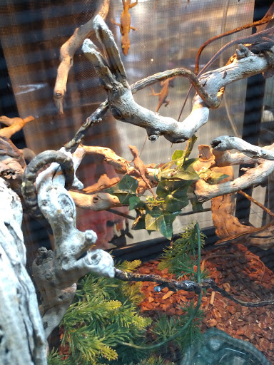 Pet Store «Animal Ark Pet Stores», reviews and photos, 33 Center St, Orem, UT 84057, USA