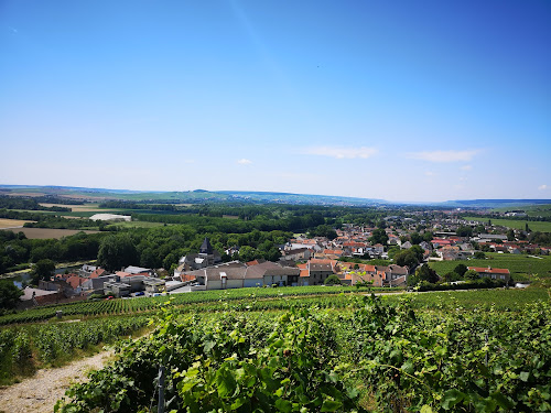 Coteaux de Mareuil-sur-Ay - Unesco à Aÿ-Champagne