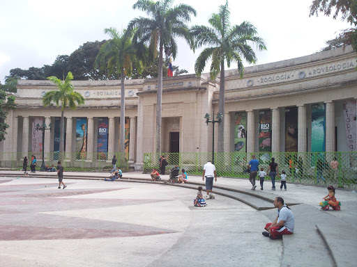 Plaza de Los Museos