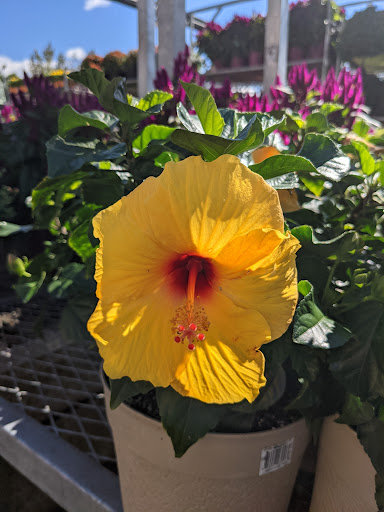 Home Improvement Store «The Home Depot», reviews and photos, 90 Monroe Turnpike, Trumbull, CT 06611, USA