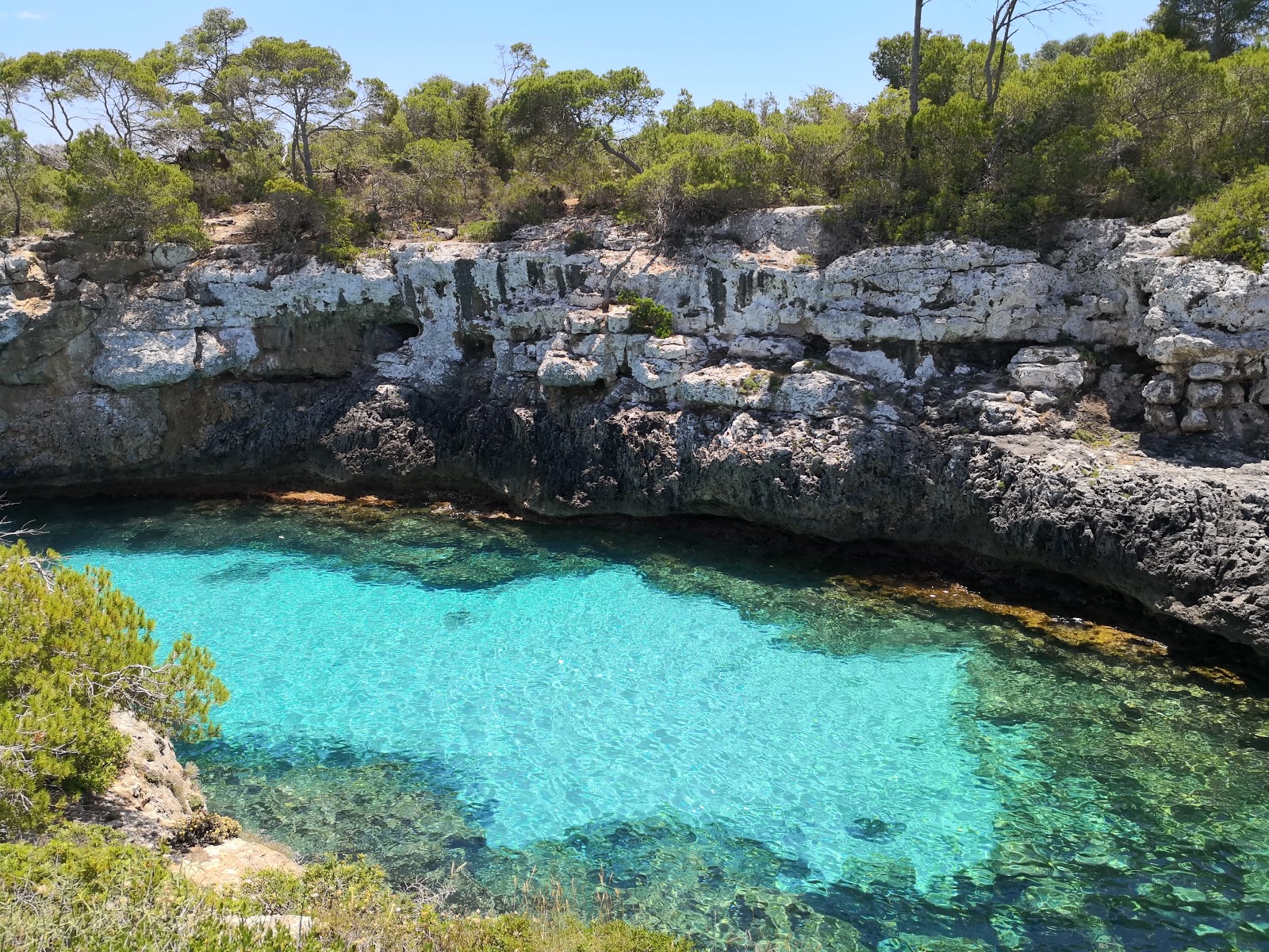 Foto av Cala Beltran vildmarksområde