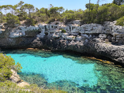 Cala Beltran'in fotoğrafı vahşi alan