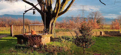 Ferme du Rougequeue à Châteauneuf-sur-Isère