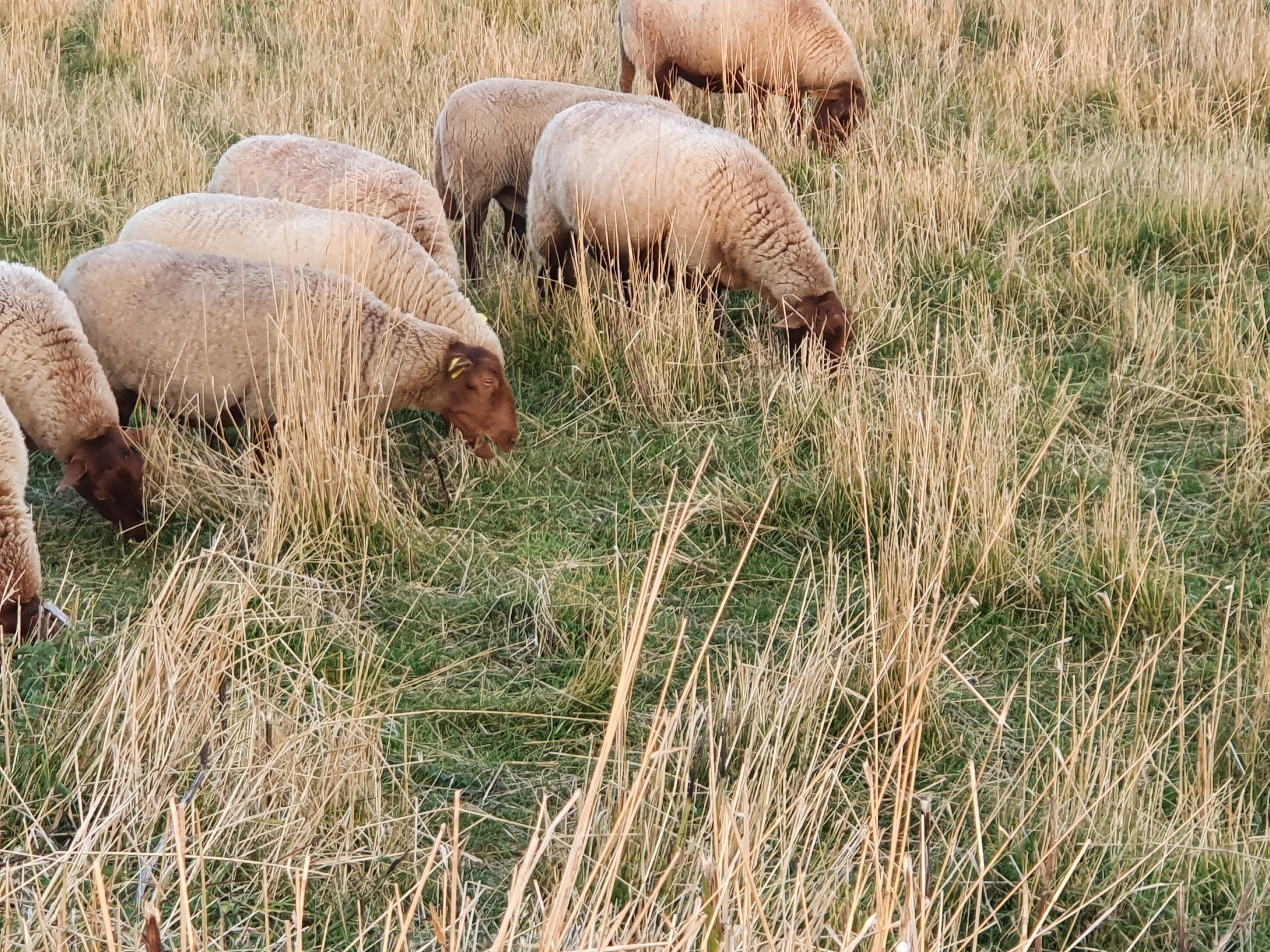 Photo n° 17 de l'avis de RAPHAEL.O fait le 19/09/2021 à 19:00