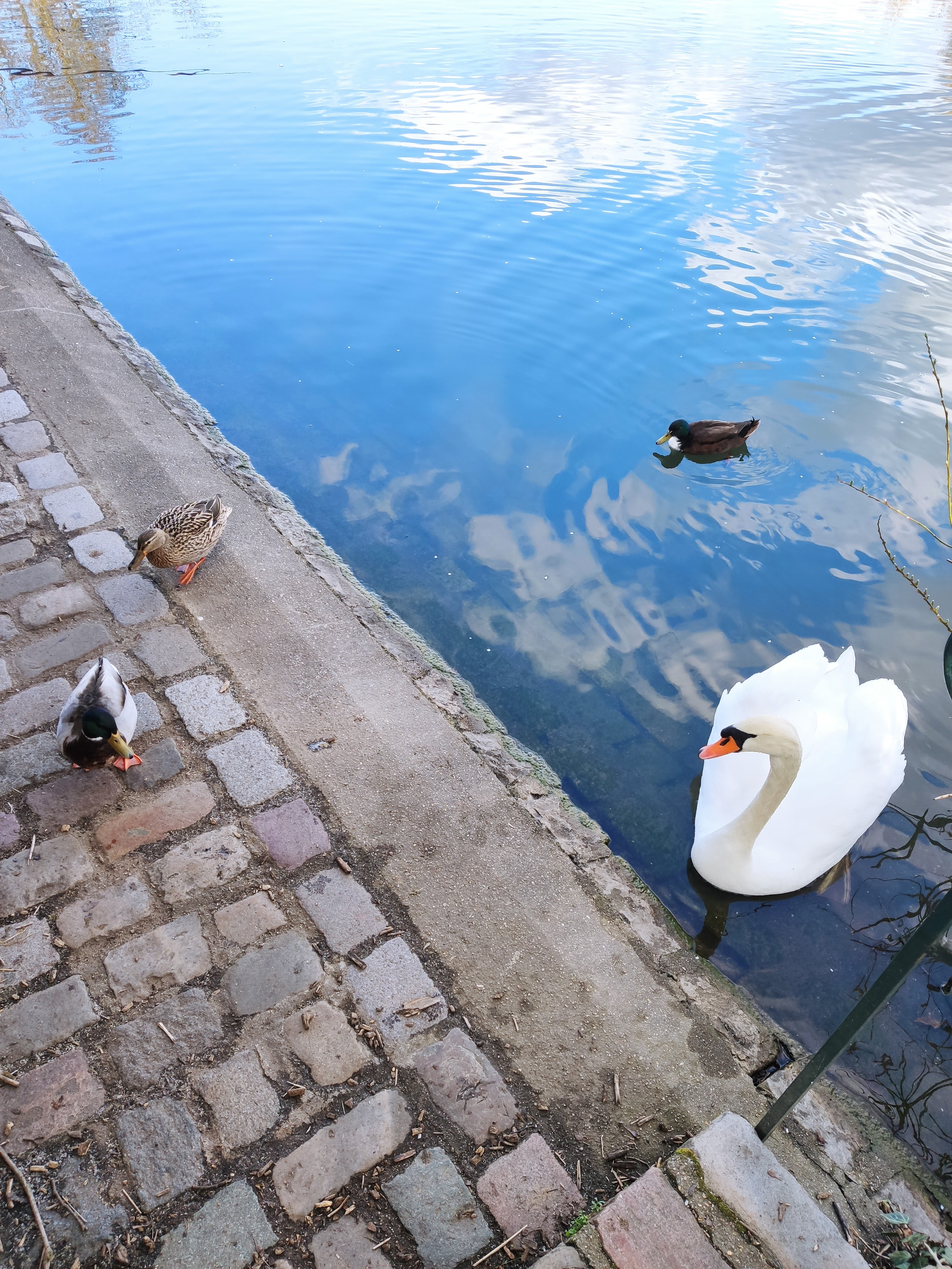 Photo n° 1 de l'avis de Marc.l fait le 21/04/2021 à 10:14