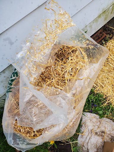 Pet Supply Store «Pet Needs Etc», reviews and photos, 5664 N Telegraph Rd, Dearborn Heights, MI 48127, USA