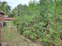 The Cuttingedge Forestrey & Landscaping LLC - Photo 8 - Car repair in Raeford, NC, Fayetteville