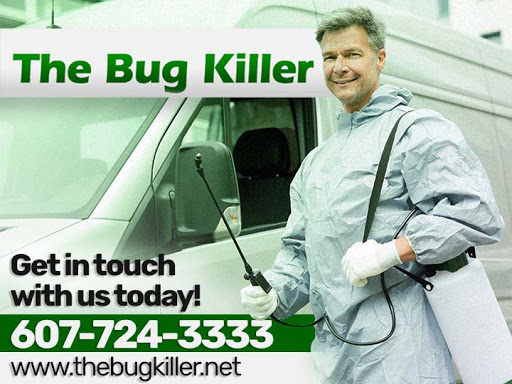 The Bug Killer image 4