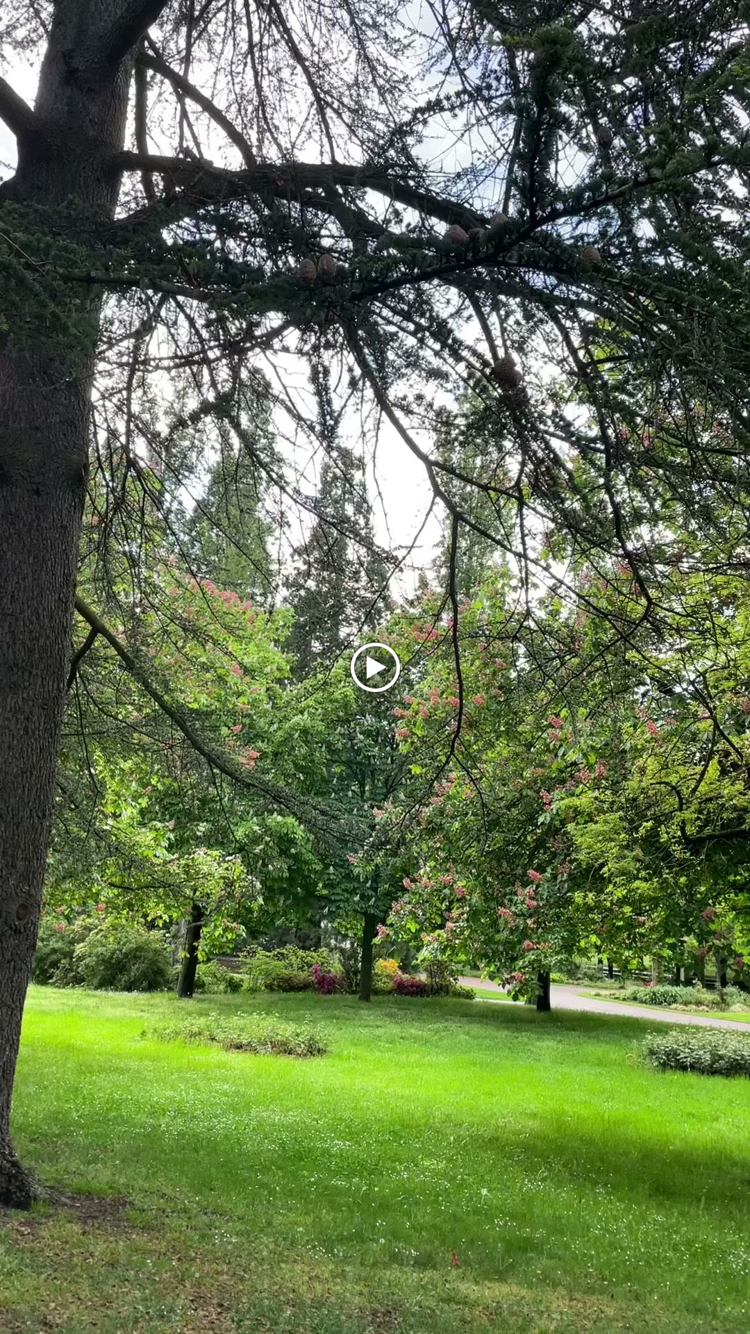 Photo n° 2 de l'avis de amal. fait le 08/05/2023 à 05:45