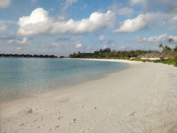 Sun Siyam Olhuveli Plajı'in fotoğrafı çok temiz temizlik seviyesi ile