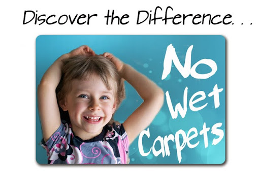 1ST DRY Carpet Cleaning upholstery cleaning in Lawrenceville, Illinois