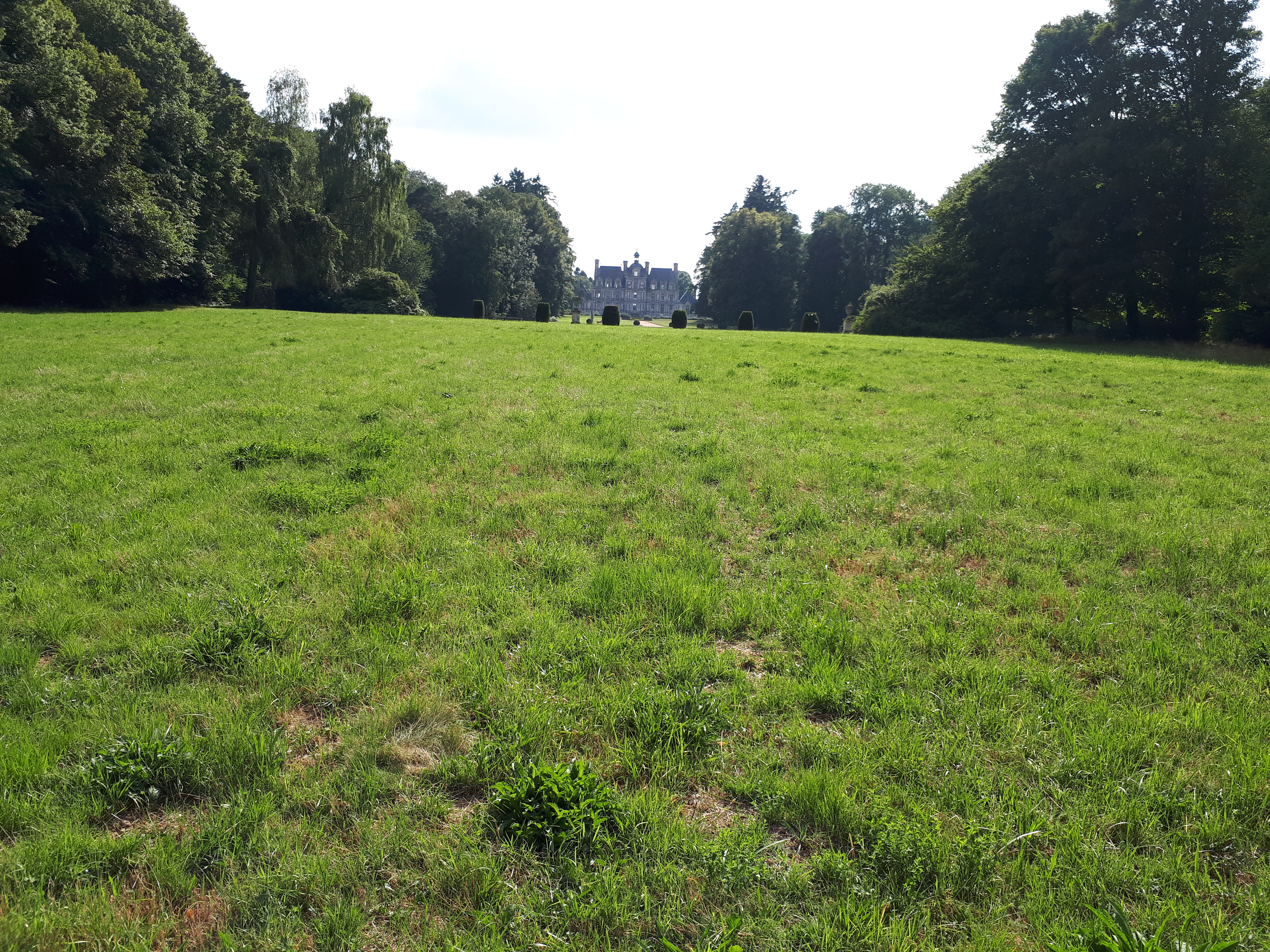 Photo n° 12 de l'avis de Frederic.e fait le 26/07/2018 à 20:25