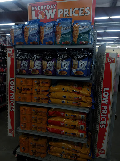 Dollar Store «FAMILY DOLLAR», reviews and photos, 289 Allen St, New Britain, CT 06053, USA