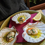 Photo n°4 de l'avis de Laith.o fait le 27/03/2023 à 14:05 sur le  Ristorante La Colonna à Venice