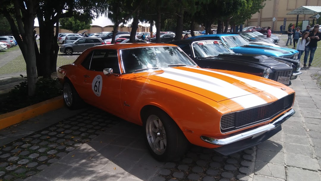 Salón del Automóvil Mustang. Club México A.C.