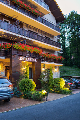 Hotel Regal Sinaia - Hotel