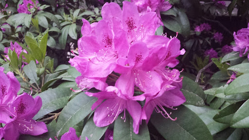 Park «Jackson Park Golf Course», reviews and photos, 1000 NE 135th St, Seattle, WA 98125, USA