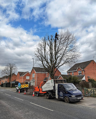 Comments and reviews of Weedons Tree Surgery & Garden Maintenance