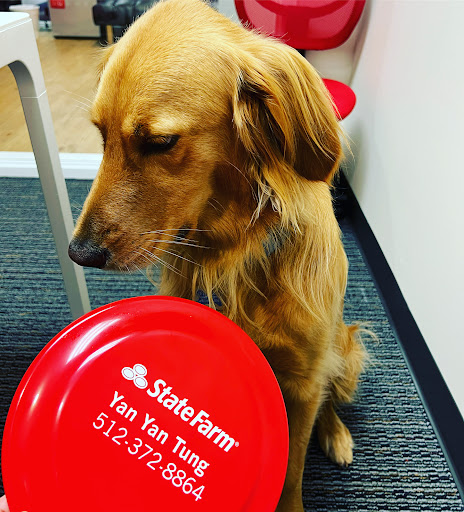 Insurance Agency «Yan Tung - State Farm Insurance Agent», reviews and photos