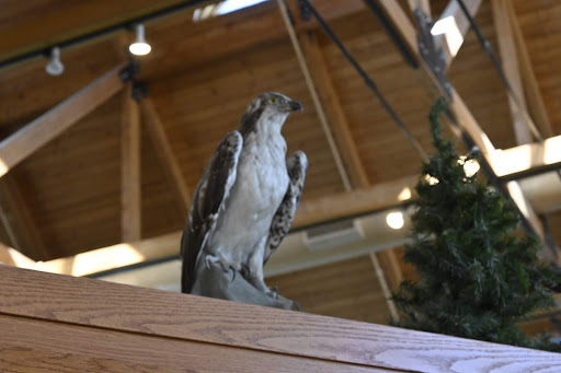 Museum «Lewis & Clark Boat House», reviews and photos, 1050 S Riverside Dr, St Charles, MO 63301, USA