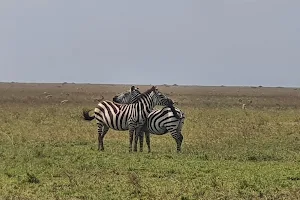 Chalema Tanzania Safaris image