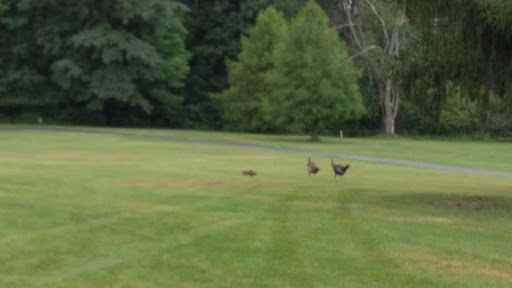 Golf Club «High Lands Golf Club», reviews and photos, 10391 Hollow Rd SW, Pataskala, OH 43062, USA