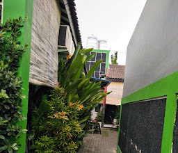 Titan's greenhouse homestay photo