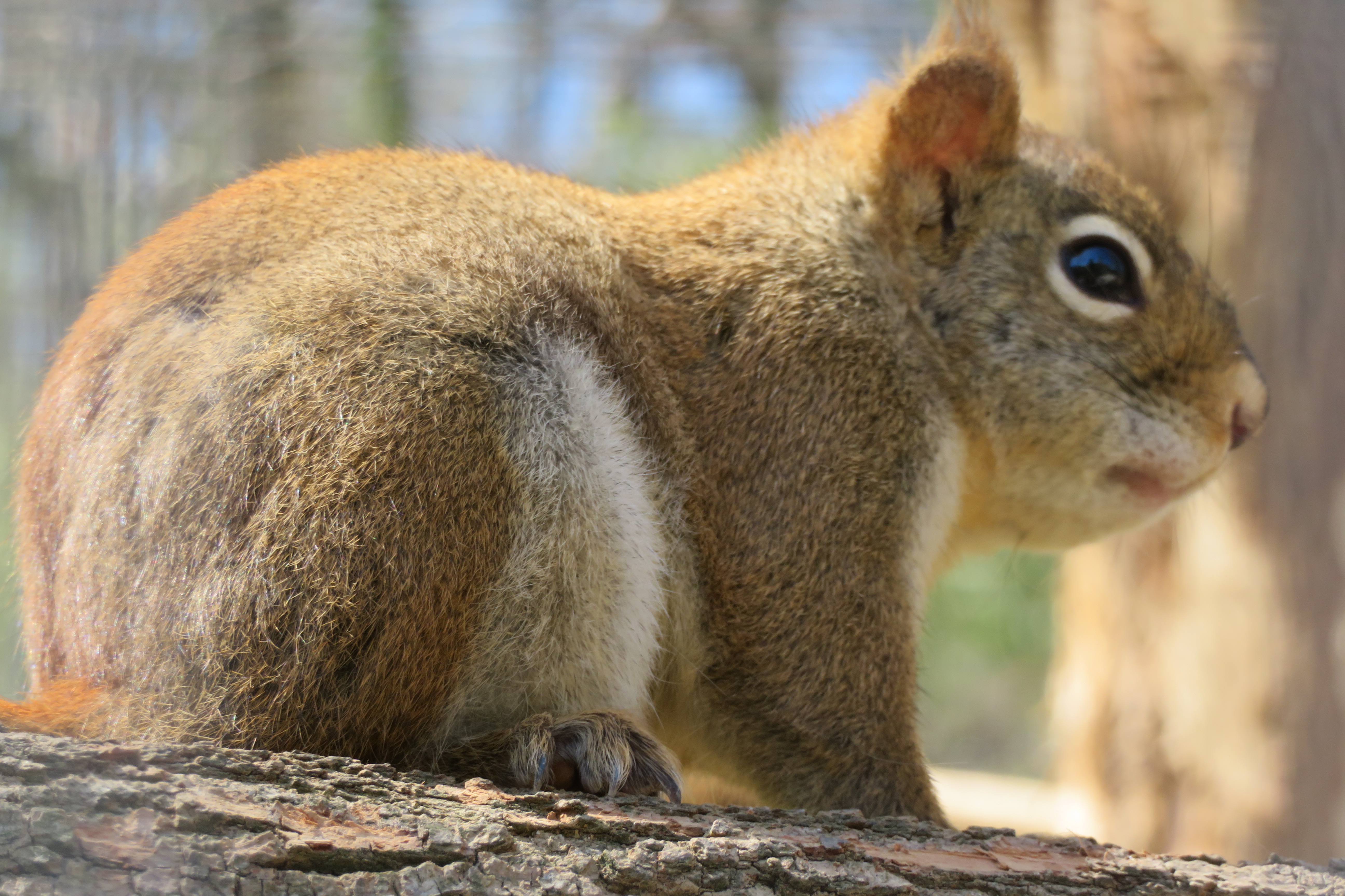 Photo n° 11 de l'avis de Pascal.E fait le 09/04/2023 à 04:13