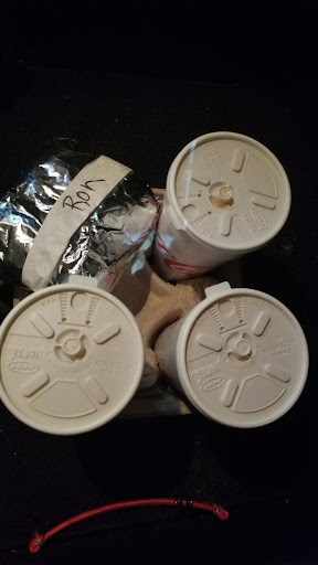 Donut Shop «Donut Castle», reviews and photos, 11831 E 13 Mile Rd, Warren, MI 48093, USA