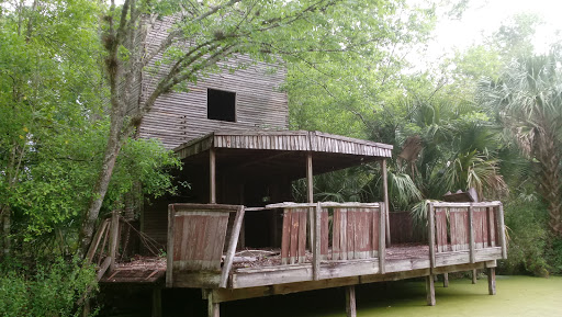 Tourist Attraction «Jungle Adventures, A Real Florida Animal Park», reviews and photos, 26205 E ...