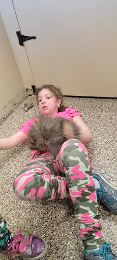 Pet Supply Store «Pet Ranch», reviews and photos, 3823 E 120th Ave, Denver, CO 80233, USA