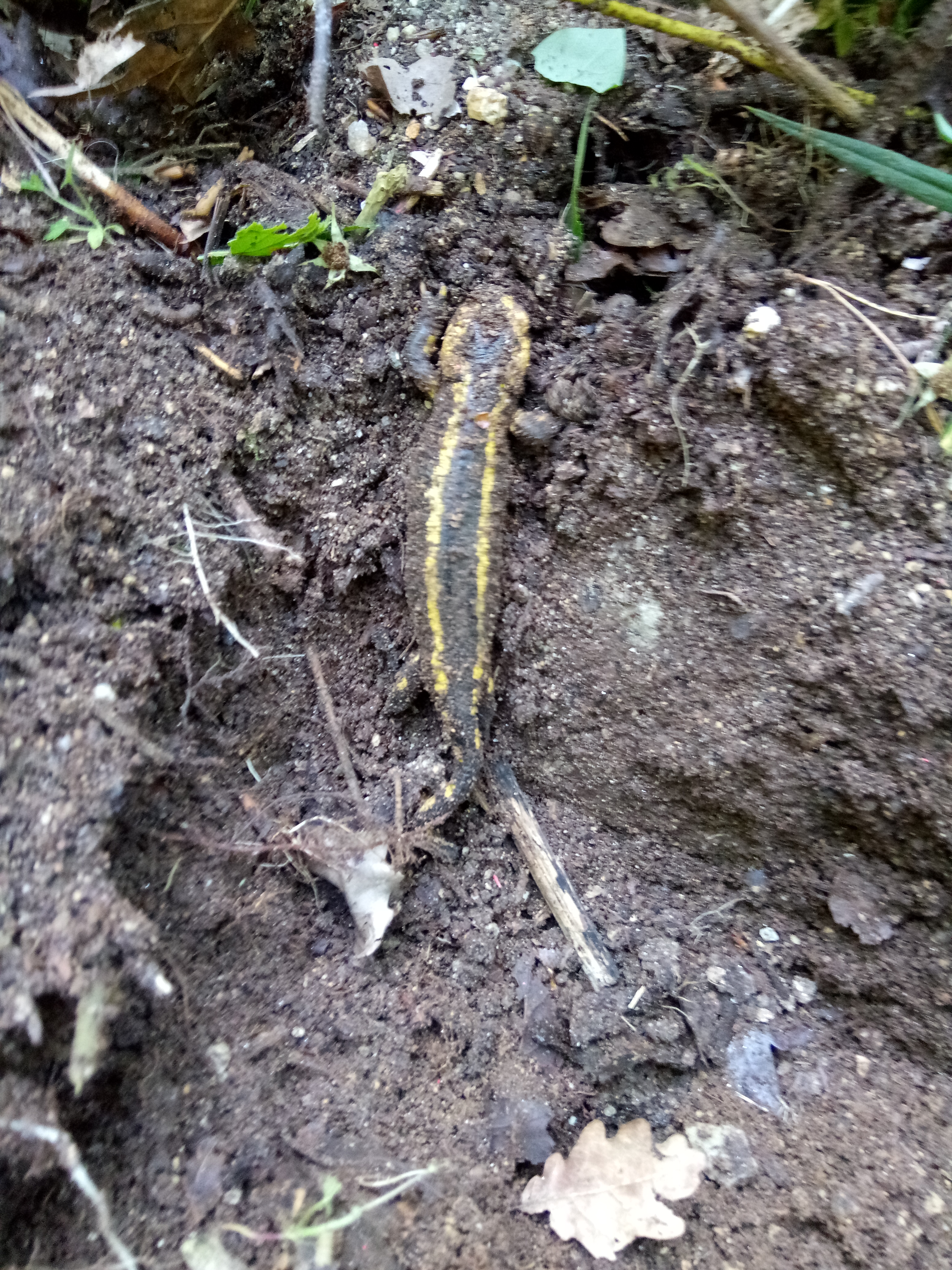 Photo n° 3 de l'avis de Christophe.n fait le 09/07/2018 à 16:57