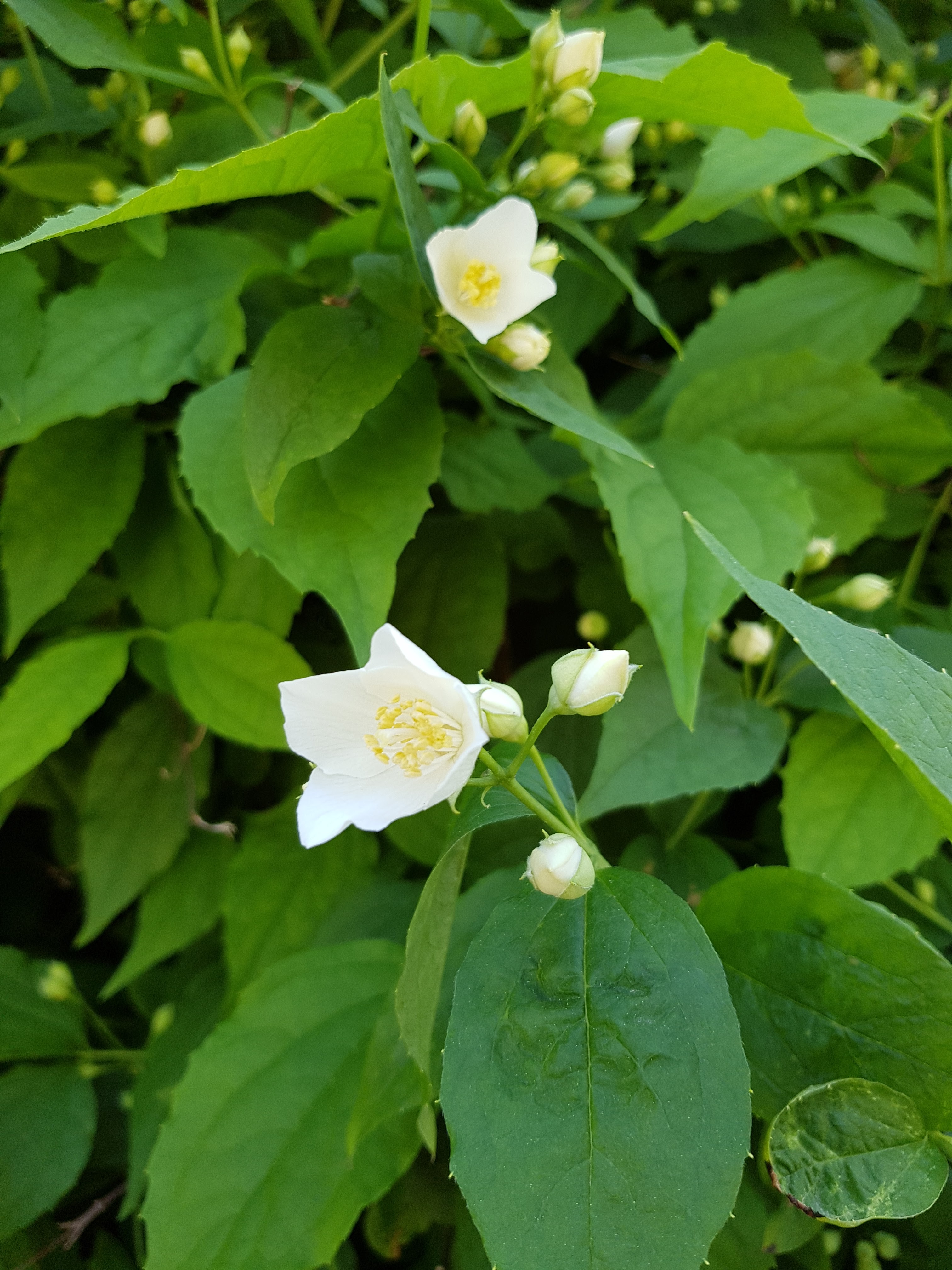 Photo n° 1 de l'avis de Elisabeth.R fait le 06/05/2018 à 14:51