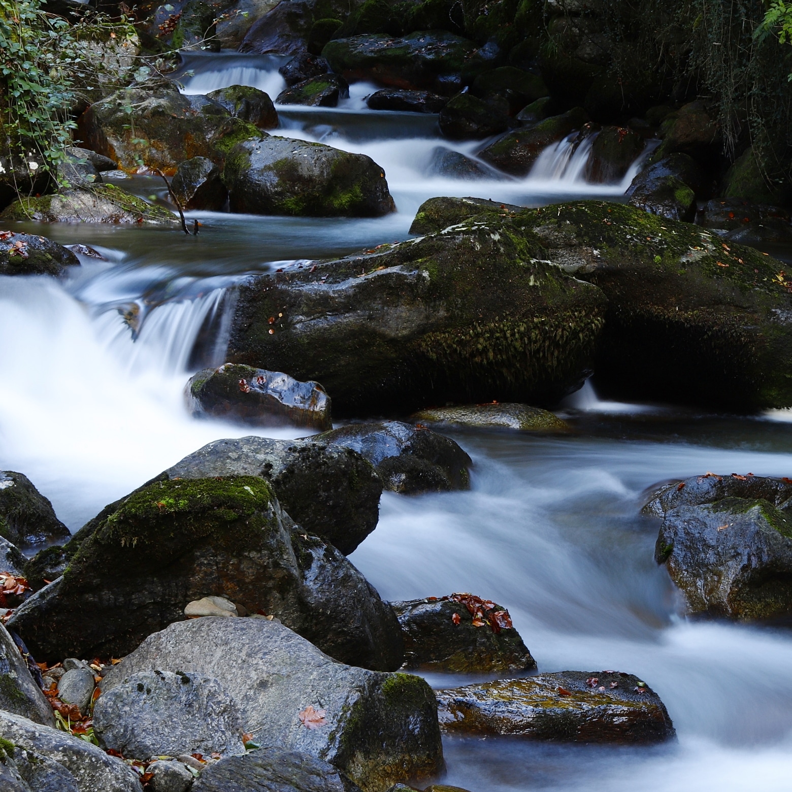 Photo n° 2 de l'avis de Gauvain.o fait le 02/11/2023 à 07:37