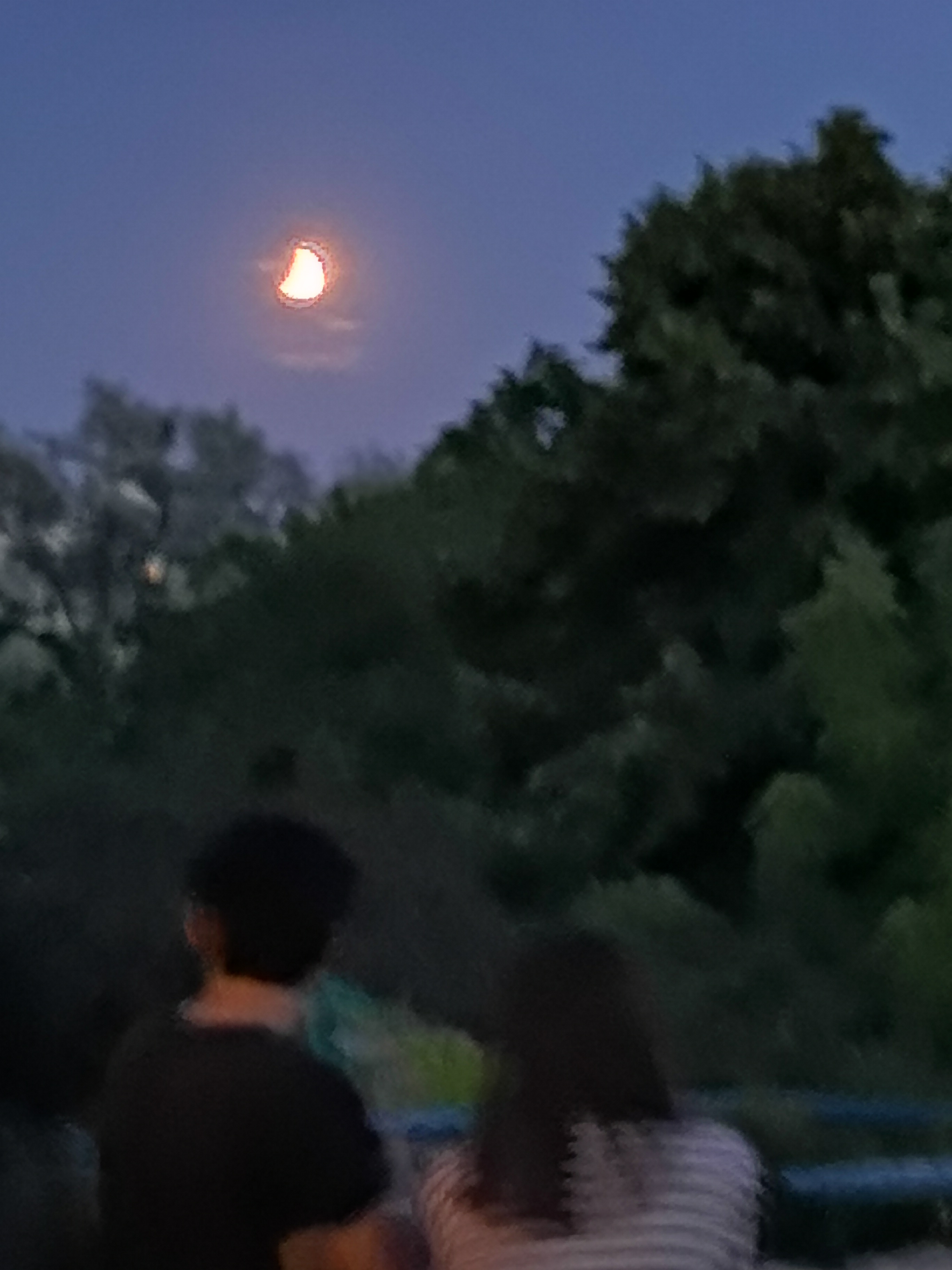 Photo n° 2 de l'avis de Pierre-Yves.� fait le 17/07/2019 à 16:46