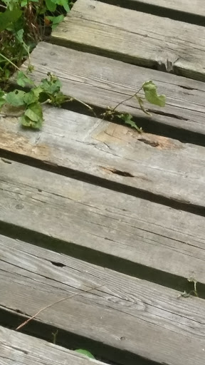 Nature Preserve «DeGraaf Nature Center», reviews and photos, 600 Graafschap Rd, Holland, MI 49423, USA