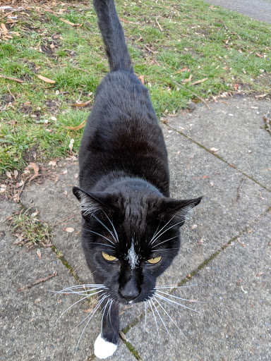 Park «Salmon Bay Park», reviews and photos, 2001 NW Canoe Pl, Seattle, WA 98117, USA