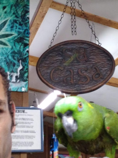 Boutique «Su Casa Boutique», reviews and photos, 1041 N Cedar St, Lansing, MI 48906, USA