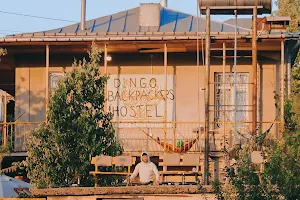 Dingo Backpackers Hostel image