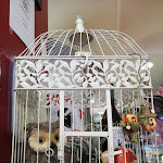 Photo n°6 de l'avis de Bear.o fait le 27/10/2023 à 11:07 sur le  PIZZIWINE à Sacile