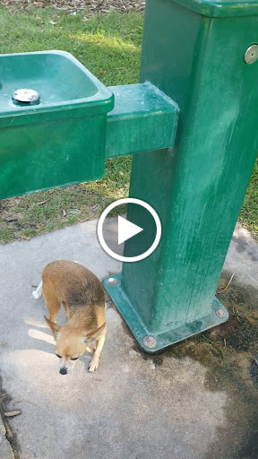 Park «Fishback Park», reviews and photos, 818 Water St, Denver, CO 80211, USA