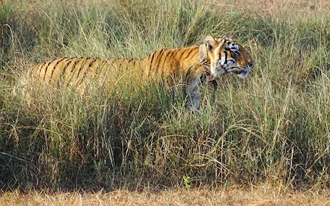 Tadoba Tiger Resort Food Plaza image