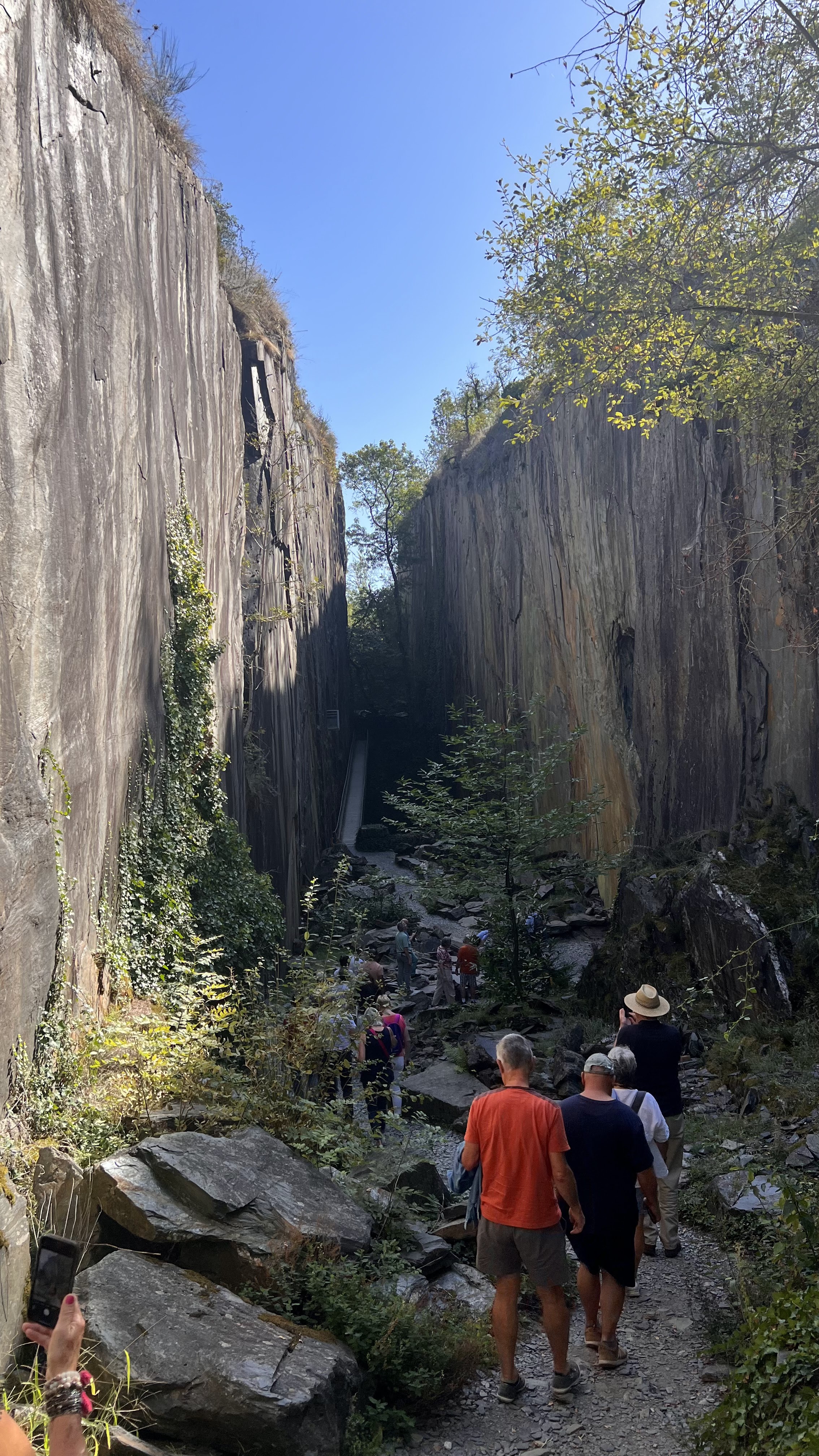 Photo n° 16 de l'avis de Fromagerie.a fait le 08/10/2023 à 17:23