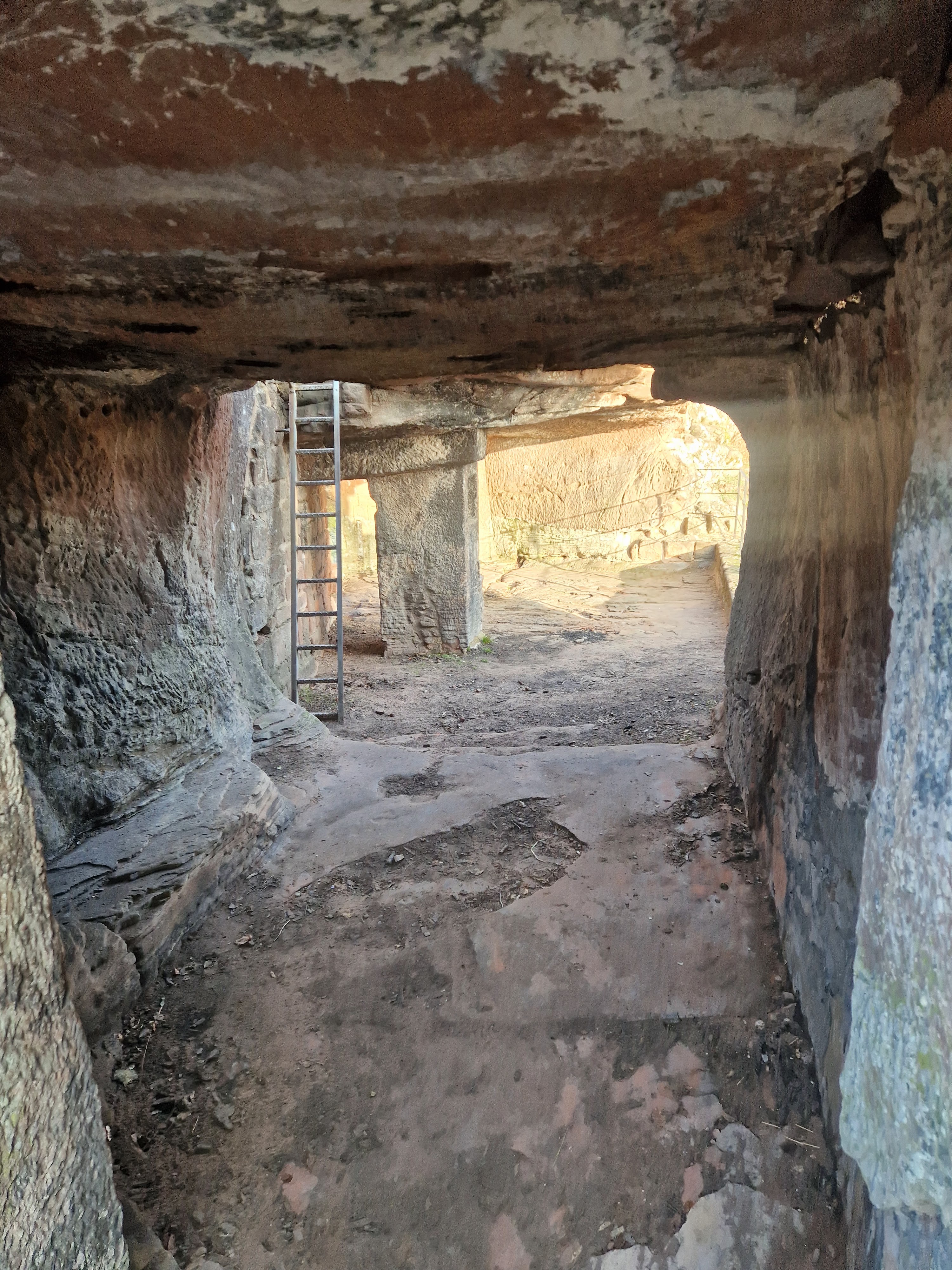 Photo n° 11 de l'avis de Beno. fait le 14/01/2024 à 20:33