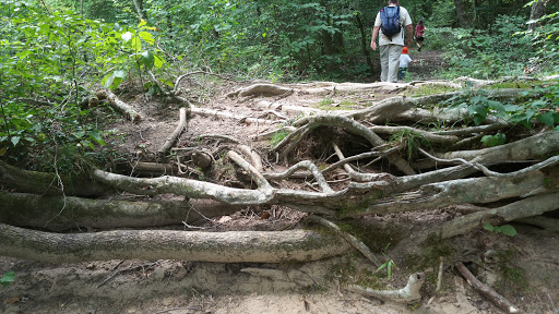 Tourist Attraction «North Anna Battlefield Park», reviews and photos, 11576 Verdon Rd, Doswell, VA 23047, USA