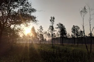 Lake Ramsey Savannah Wildlife Management Area image