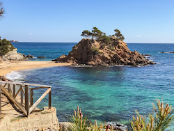 Φωτογραφία του Cala Cap Roig άγρια περιοχή