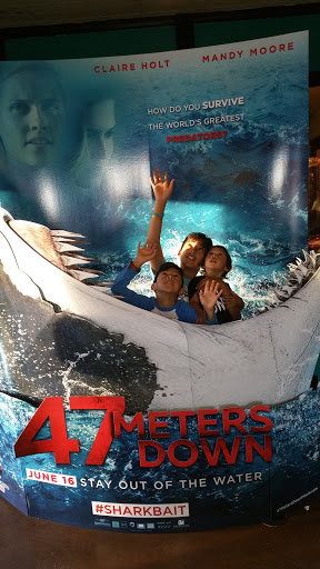 Drive-in Movie Theater «Vali-Hi Drive-In», reviews and photos, 11260 Hudson Blvd, Lake Elmo, MN 55042, USA