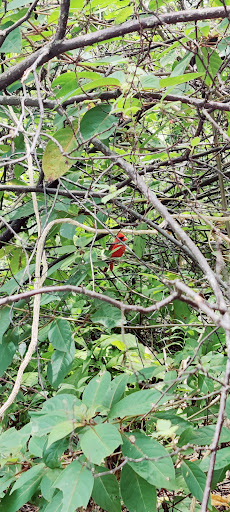 Park «Sewell Park», reviews and photos, 1801 NW S River Dr, Miami, FL 33125, USA